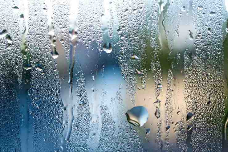 Condensa sul vetro